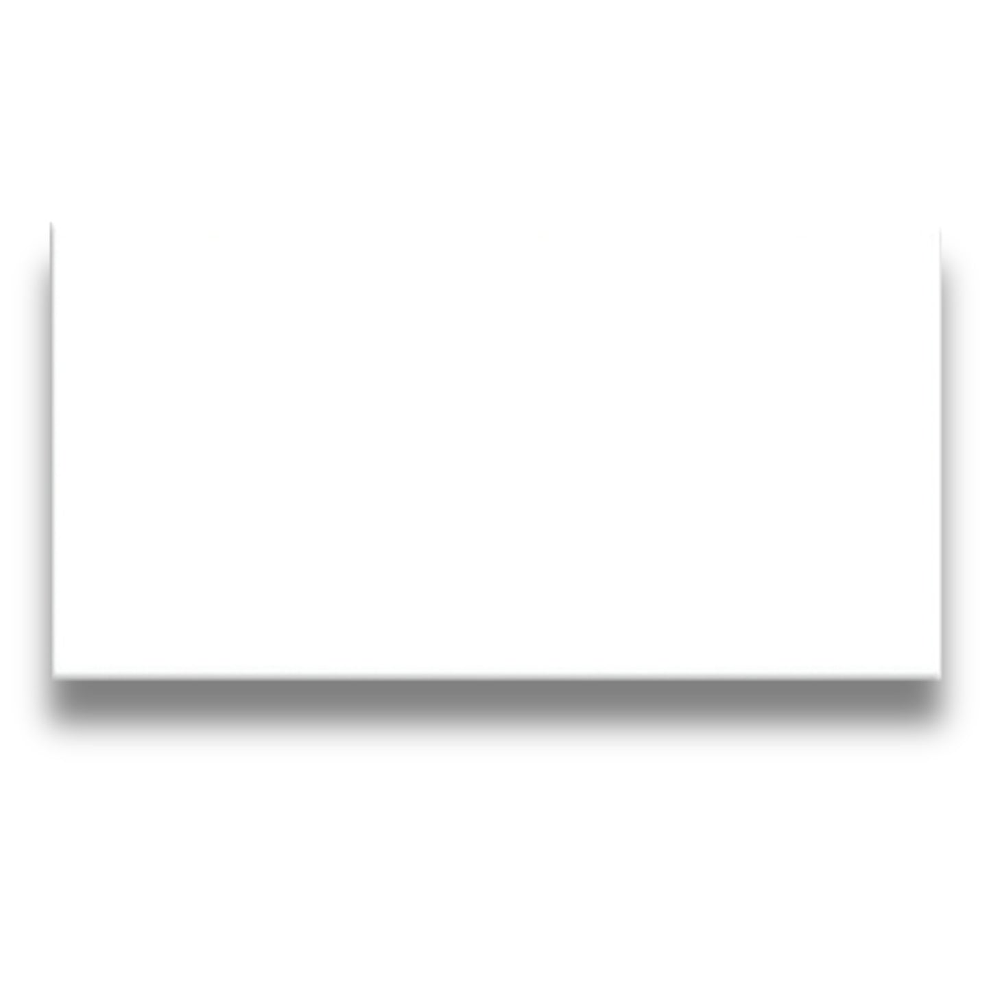 Basics Plain White Gloss 100x200mm