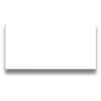 Basics Plain White Gloss 100x200mm