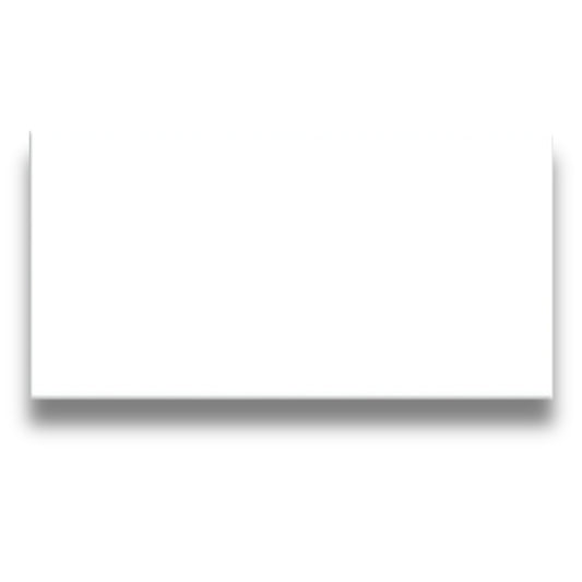 Basics Plain White Gloss 100x200mm