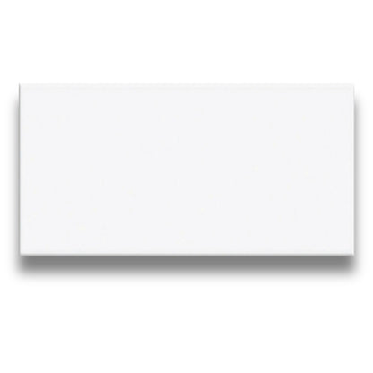 Basics Plain White Matt 100x200mm