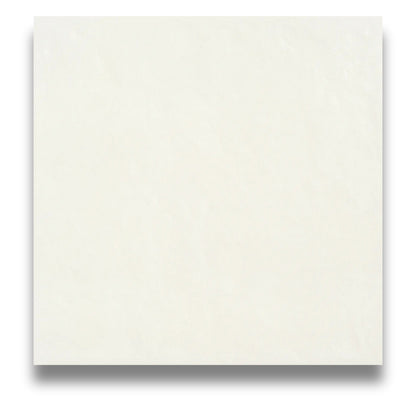 Matter Plaster (White) 600x600mm