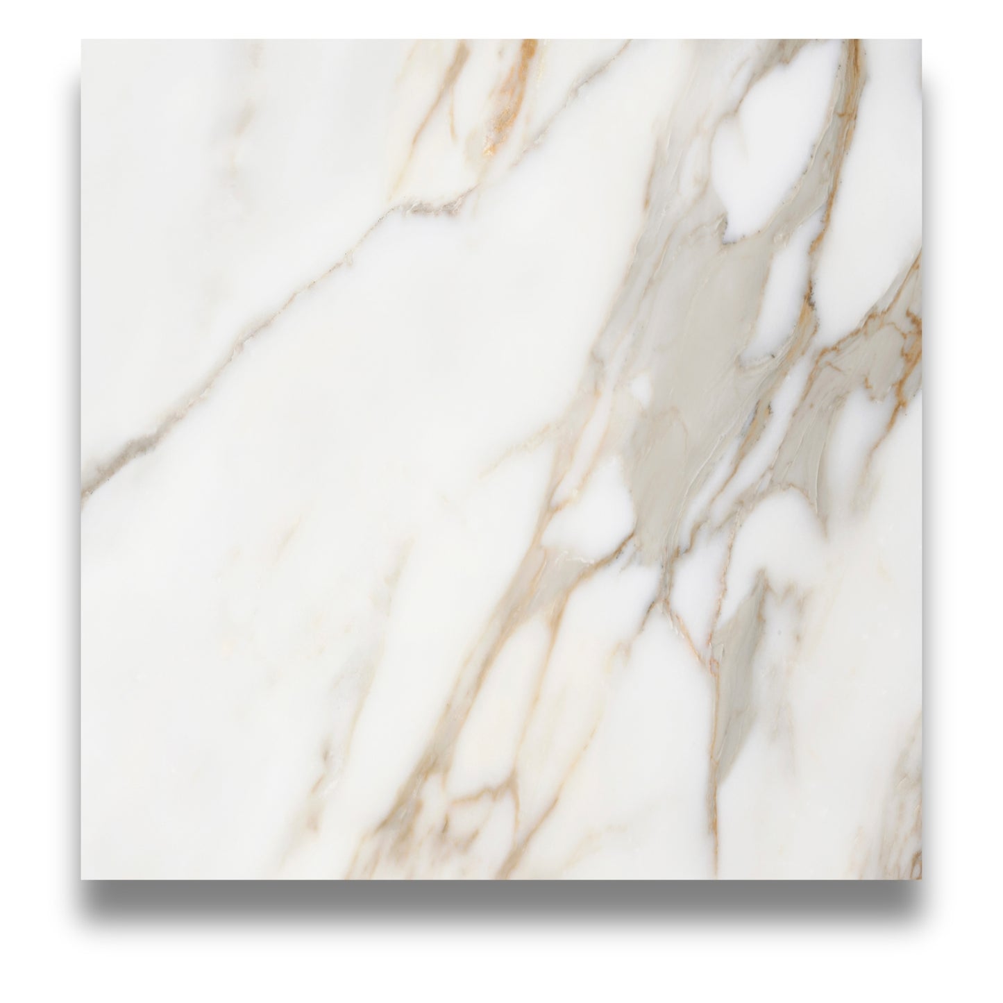 Elite Marble Calacatta Macchia 600x600mm