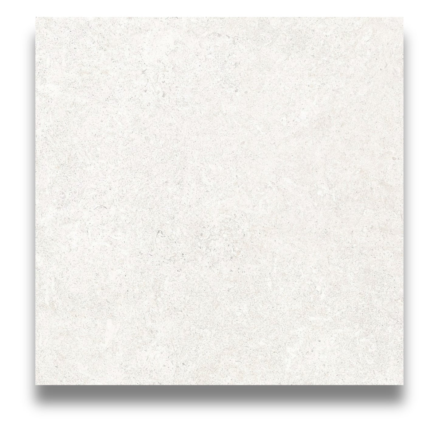 Kalkarea White Matt 600x600