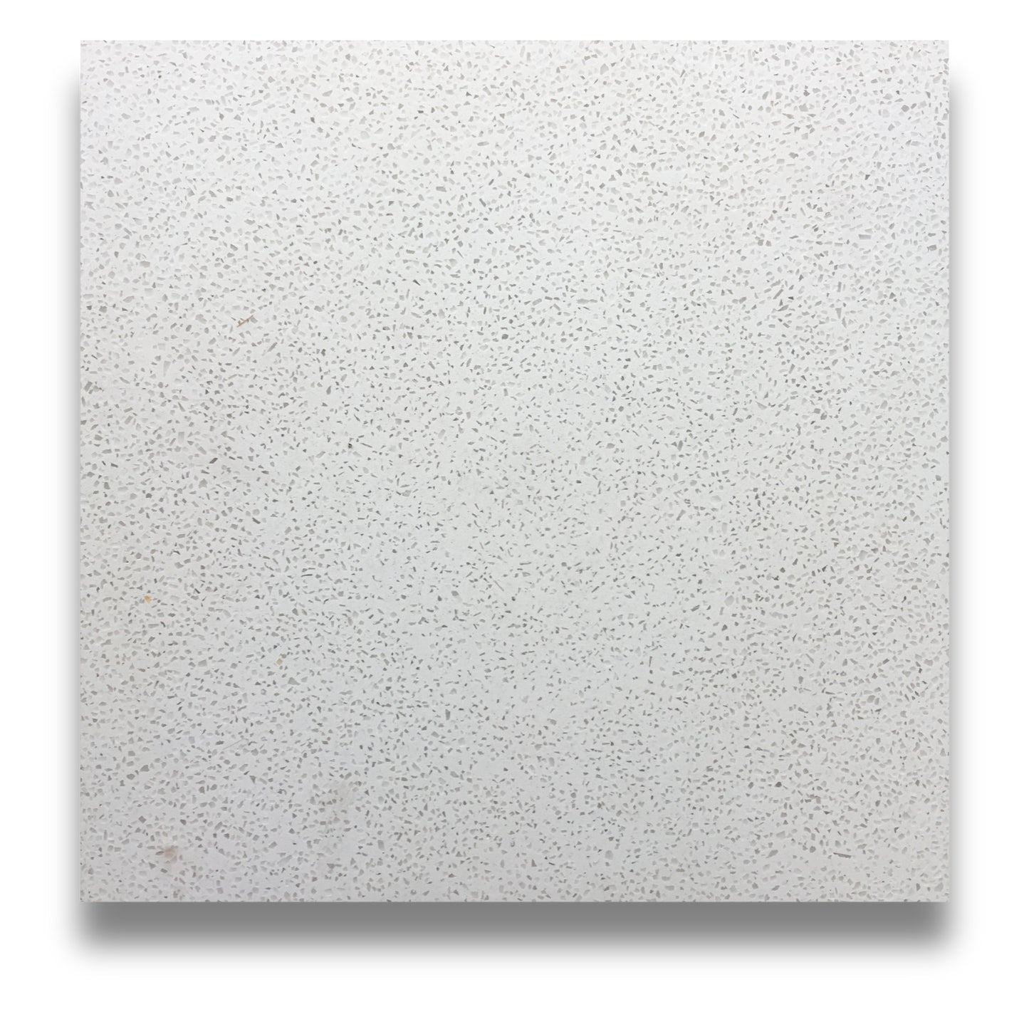 Encaustic Terrazzo White Small Chip 300x300mm