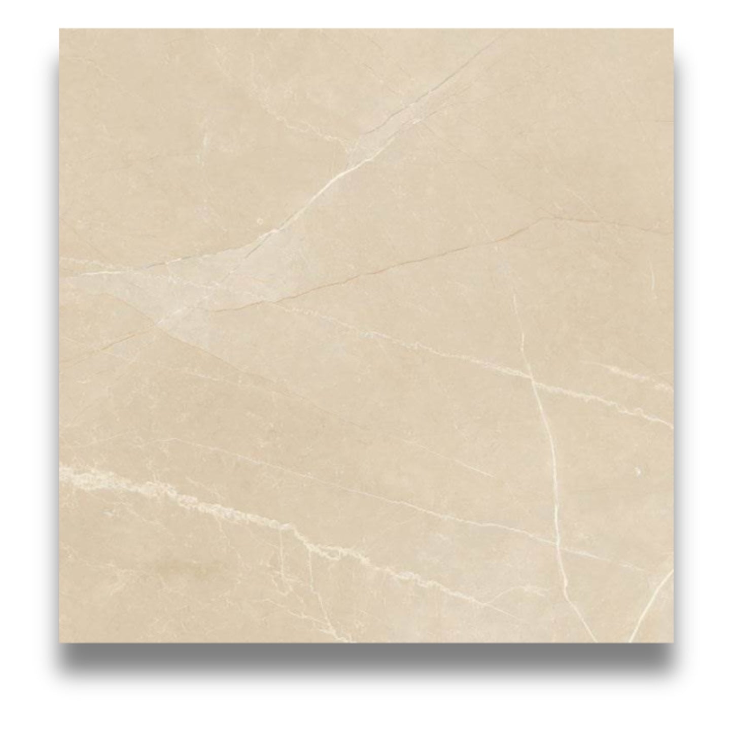 Trilogy Moon Ivory 600x600mm