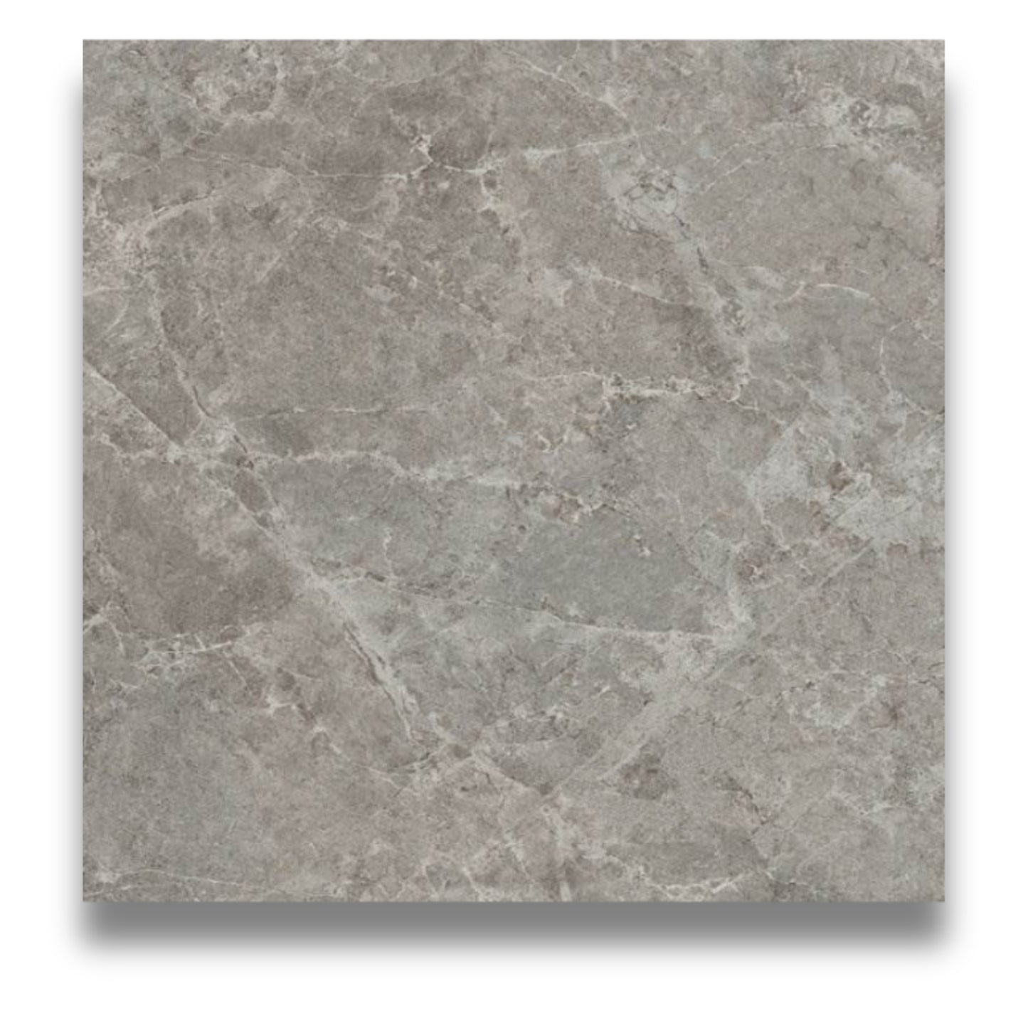 Trilogy Sandy Grey 600x600mm