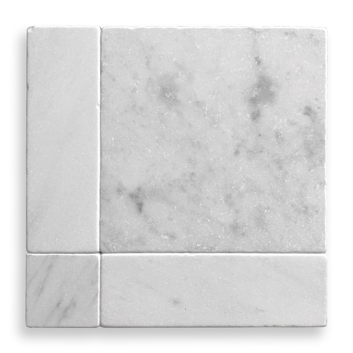 Lyon Carrara 'C' & Oriental White